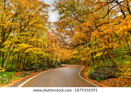 Panoramic view of peak fall foliage in Smugglers Notch, Vermont. Royalty-Free Stock Photo #1879350391