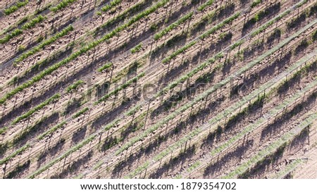 
aerial images of a farm with vines, vineyard