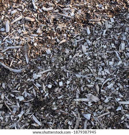 the closeup picture of wood chips on the ground