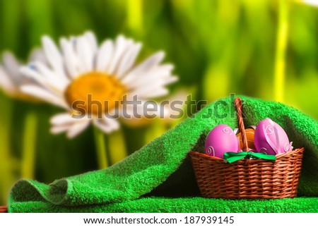 Easter decoration with daisy in the background. Eggs and Turkish towel.