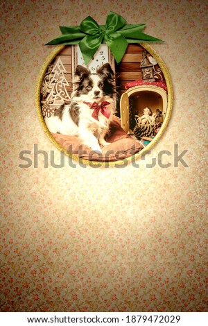 Christmas papillon dog greeting card.Old picture frame with a photograph of a puppy, Baby Jesus, clock and Christmas decorations hanging on a vintage style wall with space for a Christmas message