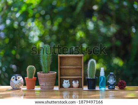 Beautiful  cactus  with  sharp  thorn ,wooden  shelf , simulated  owls  and  alcohol  gel  on  wood  table  with  nature  blurry  background  for  covid - 19  protection  concept