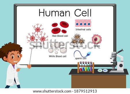 Young scientist explaining human cell in front of a board in laboratory illustration