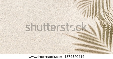 Palm leaf shadow on sand, top view, copy space 
