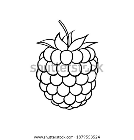 Beautiful cartoon black and white outline raspberry, symbol of summer. design for holiday greeting card and invitation of seasonal summer holidays, beach parties, tourism and travel.