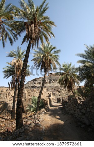 Khaybar to the north of Medina in the Hejaz.
Before the advent of Islam in the 7th century CE, indigenous Arabs, as well as Jews, once made up the population of Khaybar.