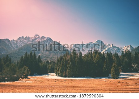 View from car of mountains and valley with fir trees in the morning in early spring. Beautiful nature landscape. Alps, Slovenia, Europe