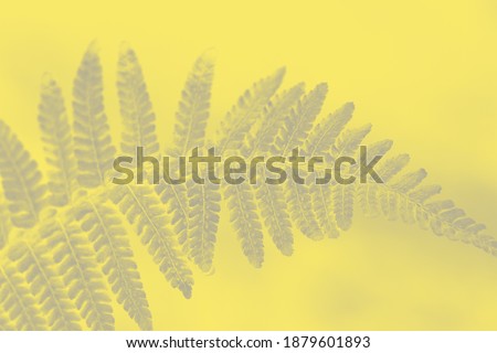 Trendy color of the year 2021. Ultimate grey and illuminating yellow abstract background. Natural fern leaf pattern