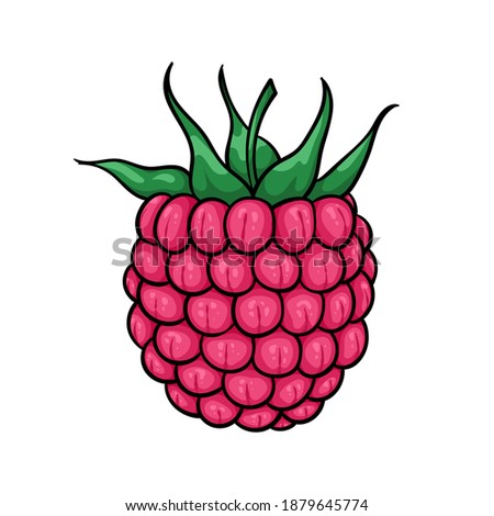 Beautiful cartoon pink raspberry with black contour, symbol of summer. design for holiday greeting card and invitation of seasonal summer holidays, beach parties, tourism and travel.