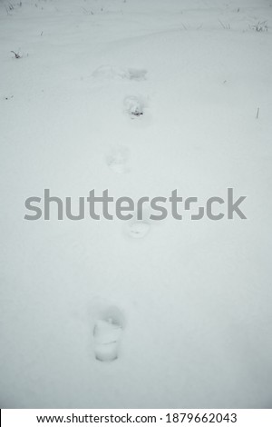 footprints in the white snow in winter.