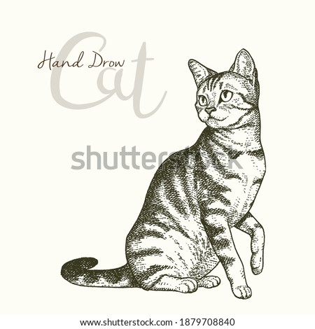Vintage vector illustration of cute cat