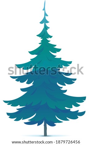 One tiny spruce tree illustration, white spruce evergreen coniferous tree in side view isolated