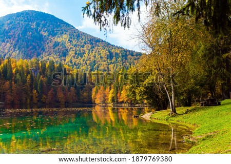Orange, yellow and red trees are reflected in the green smooth water of the lake. Lake Fuzine. Magnificent colors of autumn