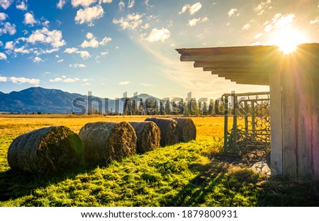 hay bales at a farm - austria