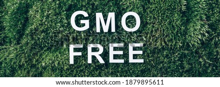 Inscription GMO FREE on moss, green grass background. Top view. Copy space. Banner. Biophilia concept. Nature backdrop. Genetically modified organism, GMO free. Healthy diet concept.