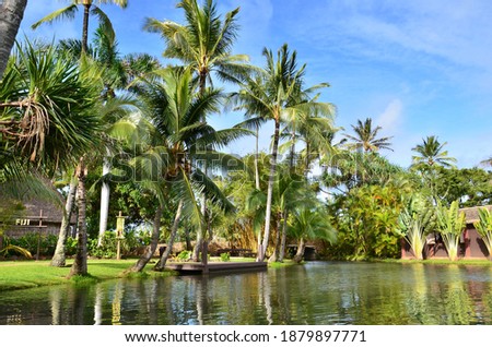 Palm trees at the Polynesian Cultural Center on Oahu Hawaii Royalty-Free Stock Photo #1879897771