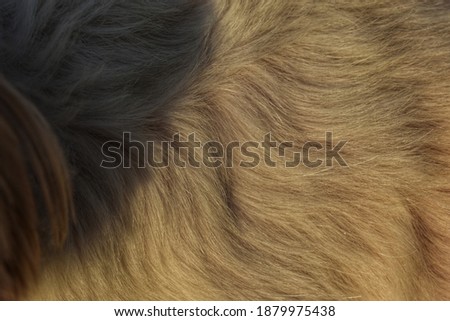 Background texture shiny fur brown gray dark black abstract