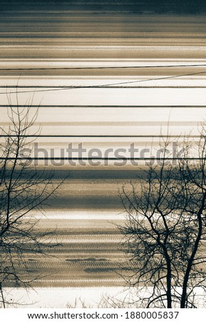 Snow lines on the road. Abstract vertical background with a pattern of smooth white lines formed by wet snow falling on the asphalt and rolled into ruts by the wheels of passing cars.