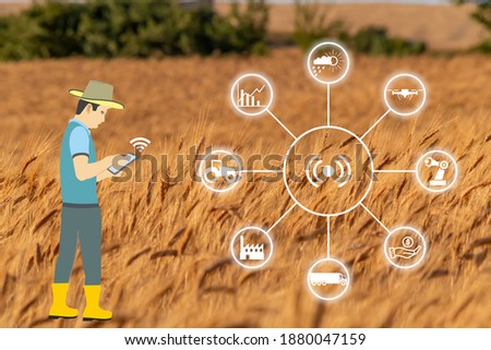 Smart Agriculture concept. production with modern farming technologies. Wireless communication icons. with wheat farm background. ripewheat ears. The farmer works agricultural jobs remotely by mobile