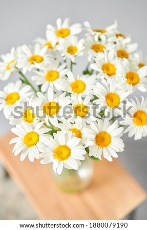 Daisy flowers in a vase . Summer background. Bouquet of camomiles present for Mothers Day. Photo of Flowers for a catalog of flower online store and delivery.