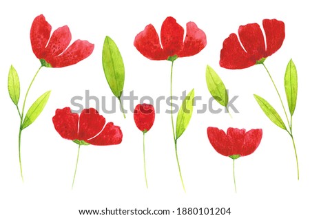 Red poppies and green leaves clip arts set isolated on white background. Bright colors abstract flowers illustrations. Eight watercolor hand drawn botanical design elements.