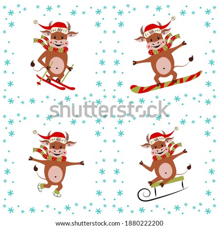 Christmas set of illustrations of cute bulls occupied in winter sports. Cartoon character. The symbol of the New Year. Flat design. Vector illustration. Funny animal, snowflakes. Isolated image.