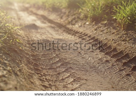 tire tracks on a dirt road