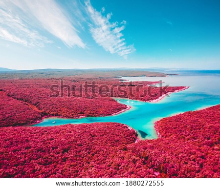 Tranquil color infra-red lagoon on sunny day. Location Kvarner Gulf, Punta Kriza, Cres island, Croatia, Europe. Drone photography. Abstract infrared image of exotic landscape. Wonders of the world.