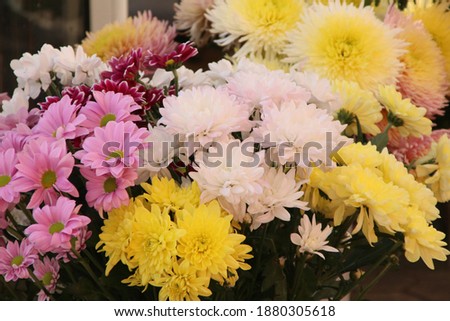 Closeup picture of a bouquet of lovely colorful daisies shot outdoor