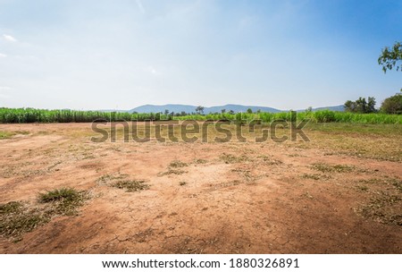 Empty dry cracked swamp reclamation soil, land plot for housing construction project with car tire print in rural area and beautiful blue sky with fresh air Land for sales landscape concept. Royalty-Free Stock Photo #1880326891