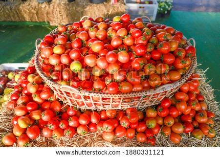 tomato,Many tomatoes stacked together in one basket,Tomatoes on the market