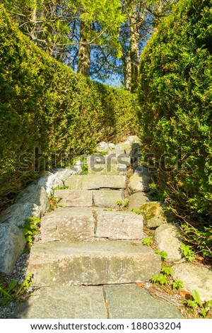Picture of a stairway in stone, covered in hedges