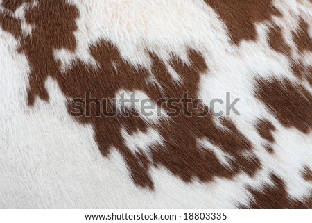 cow-hide Royalty-Free Stock Photo #18803335