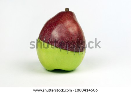                 pear and apple hybrid on blue background                Royalty-Free Stock Photo #1880414506