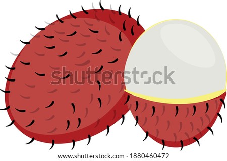 Rambutan Red Fruit Full And Half Sliced Vector Image