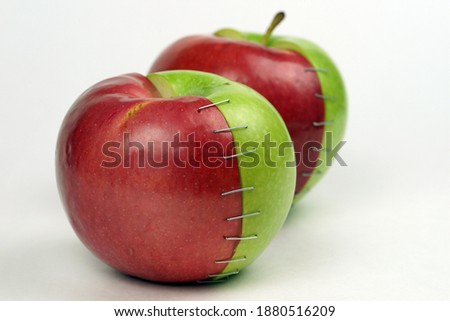 red and green apple together                    Royalty-Free Stock Photo #1880516209