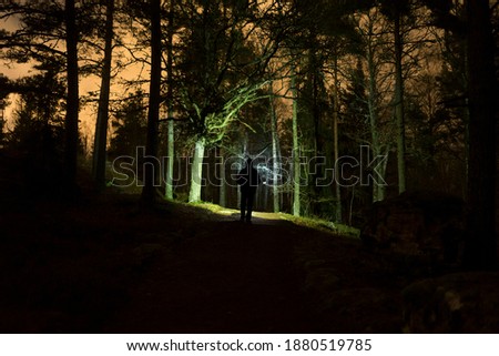 Man walking at night in Swedish forest with flashlight. 