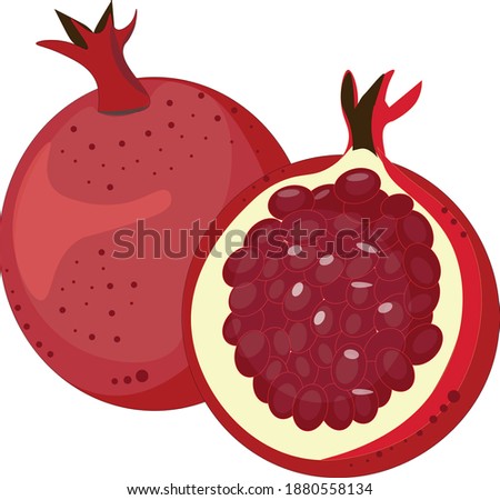 Promegranate Ripe Fruit Full And Half Vector Image