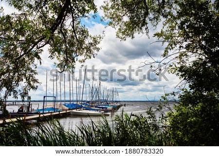 View of sailing boats framed by dark bushes and trees at a jetty in the Steinhuder Meer