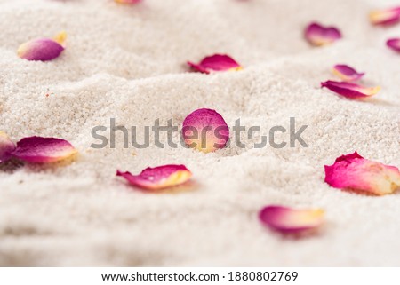 Red rose petals scattered on the sand