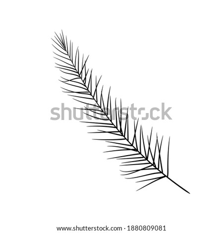 Fir sprig symbol of Christmas and New Year winter holidays. Hand drawn black doodle sketch clip art. Stock vector illustration isolated on white background.