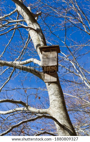 Wooden nest box for bats hanging on the tree
