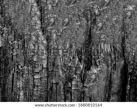 Charred wall of planks texture. Burnt black wooden board, black charcoal wood texture, burned barbecue background. coal texture of the scorched wooden boards. Ruined house building after a fire.