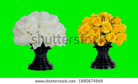 Yellow and white roses in black wooden vase isolated on green background