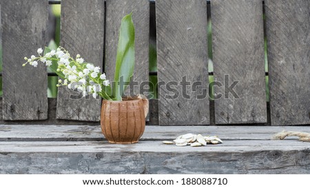  Pumpkin seeds and lily of the valley flower in a ceramic small mug with old wood background 