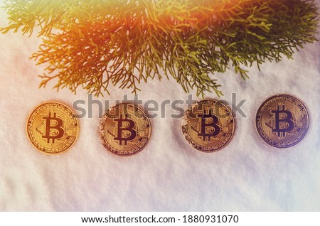 The gold coins of  Bitcoin in the snow under the sun.
Concept of growing.
