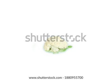 Green flower with white background picture