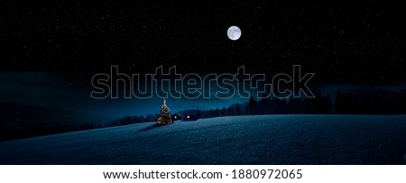 Christmas tree in winter in a snowy landscape in the moonlight