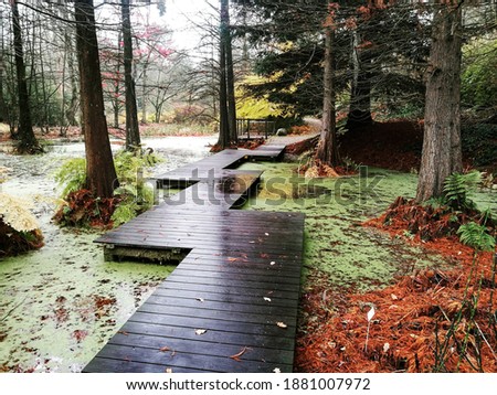 Botanical garden of Bochum, Germany. A beautiful wooden pathway leading through the trees.