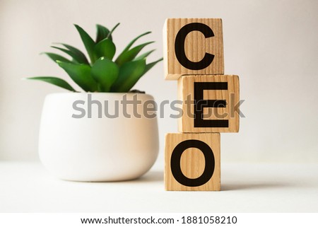 a word CEO on wooden cubes. business concept. business and Finance